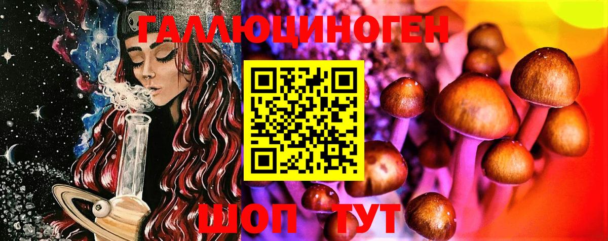 Зеленогорск  Псилоцибиновые грибы GOLDEN TEACHER  Вход с VPN 